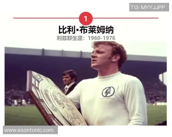 七位足球明星的传奇故事与辉煌成就盘点