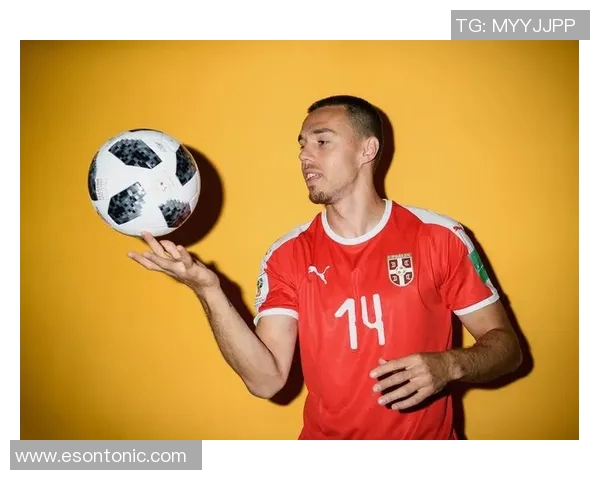 塞尔维亚足球明星盘点:从传奇到新星的璀璨之路